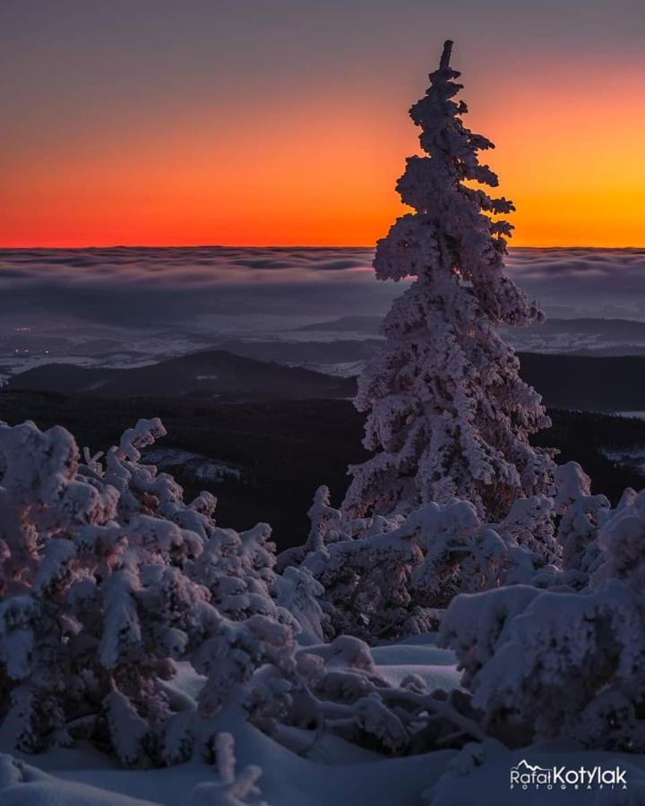 Gorski Raj Świeradów-Zdrój Exteriör bild