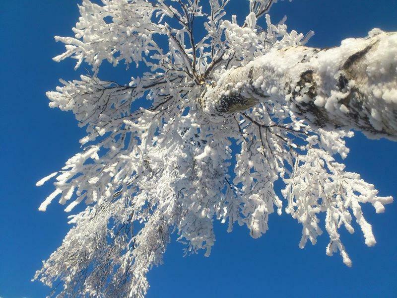 Gorski Raj Świeradów-Zdrój Exteriör bild